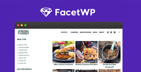 FacetWP 4.1.9 Advanced Filtering for WordPress