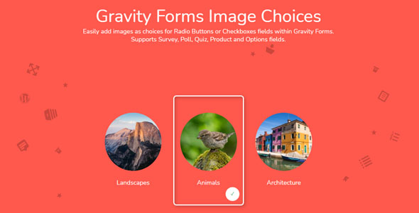 gravity forms image choices 1 3 66