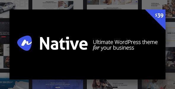 native 1 6 8 stylish multi purpose creative wp theme